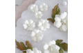 Teastained Mini Mix 4,5 cm kwiatki papierowe 8 szt
